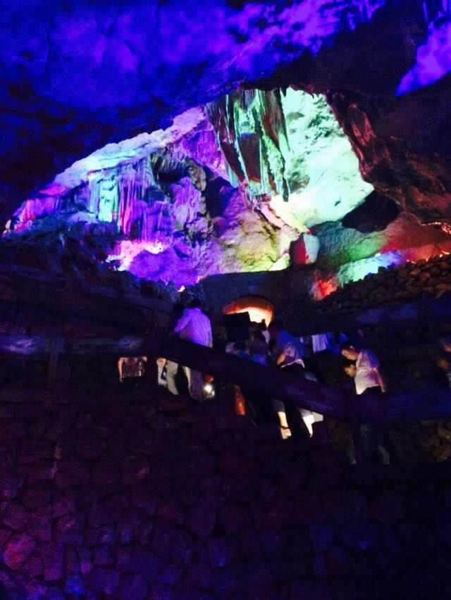 虫虫助手下载